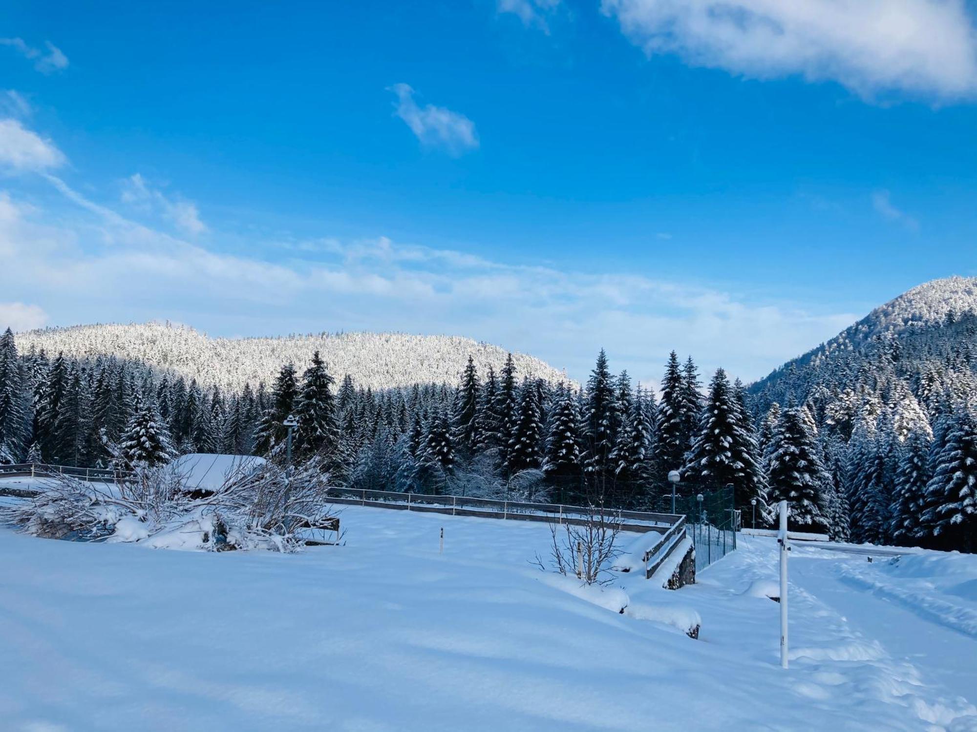 Le Perchoir Du Grand Valtin - Gite 5 Personnes - Altitude 830 Ban-sur-Meurthe-Clefcy Eksteriør bilde