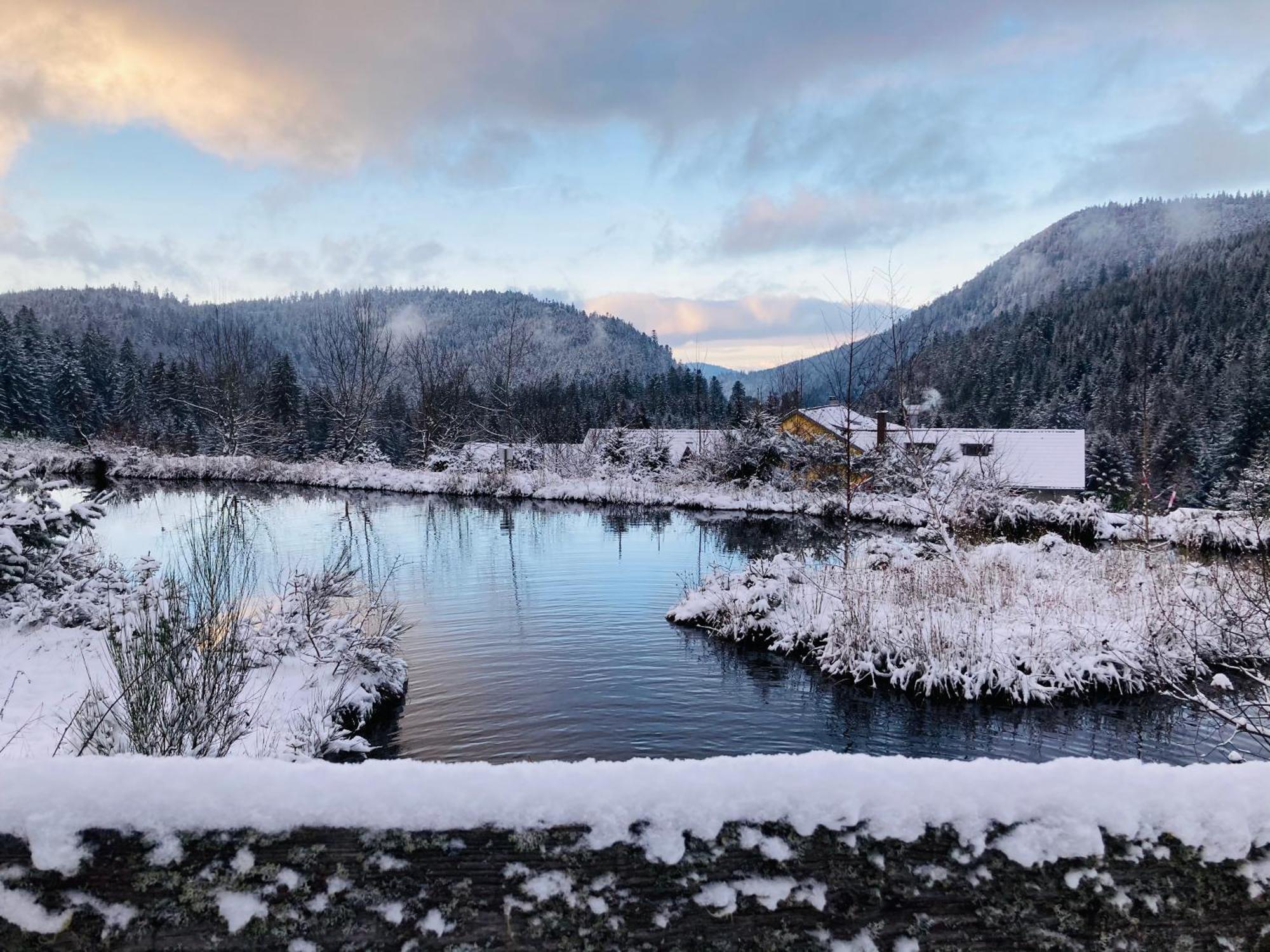 Le Perchoir Du Grand Valtin - Gite 5 Personnes - Altitude 830 Ban-sur-Meurthe-Clefcy Eksteriør bilde